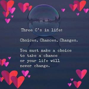 Meet your Posher, Annmarie